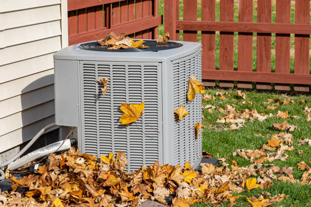 Best HVAC Maintenance Near Me  in Chisholm, MN